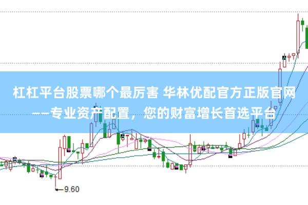 杠杠平台股票哪个最厉害 华林优配官方正版官网——专业资产配置，您的财富增长首选平台