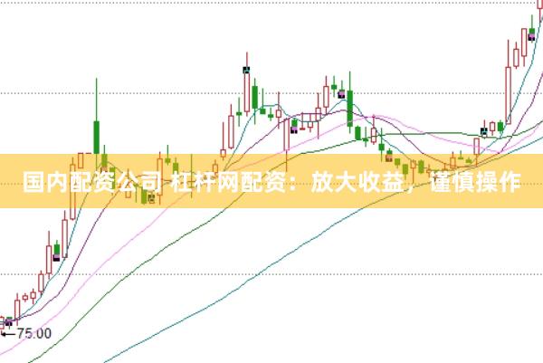 国内配资公司 杠杆网配资：放大收益，谨慎操作