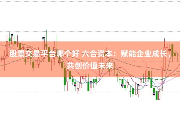 股票交易平台哪个好 六合资本：赋能企业成长，共创价值未来