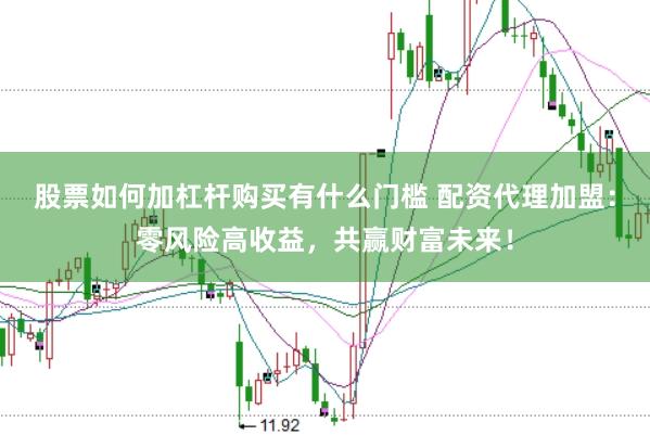 股票如何加杠杆购买有什么门槛 配资代理加盟：零风险高收益，共赢财富未来！
