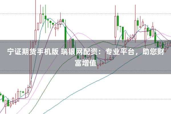 宁证期货手机版 瑞银网配资：专业平台，助您财富增值