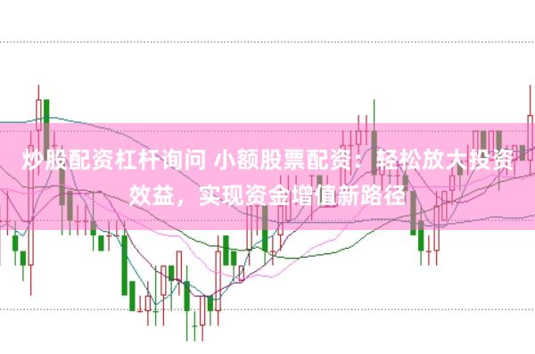 炒股配资杠杆询问 小额股票配资：轻松放大投资效益，实现资金增值新路径