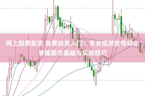 网上股票配资 股票投资入门：专业视频教程助你掌握股市基础与实战技巧