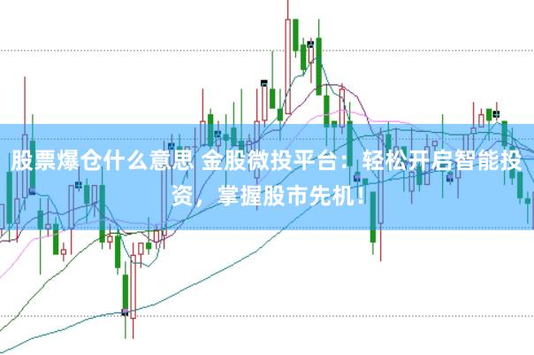 股票爆仓什么意思 金股微投平台：轻松开启智能投资，掌握股市先机！