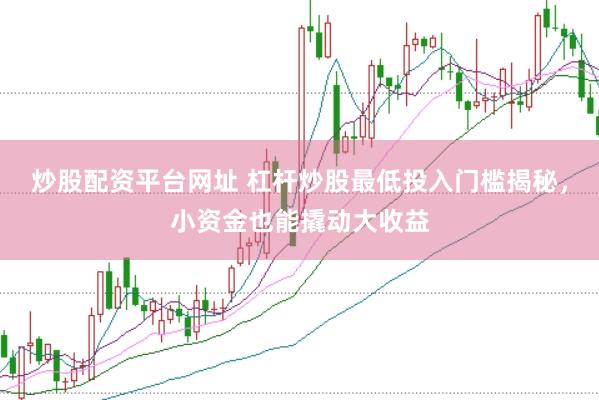 炒股配资平台网址 杠杆炒股最低投入门槛揭秘，小资金也能撬动大收益