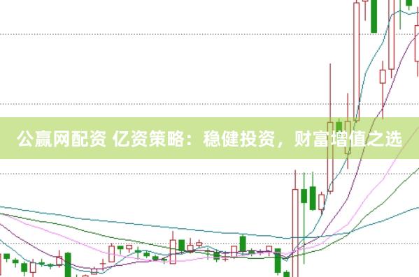 公赢网配资 亿资策略：稳健投资，财富增值之选