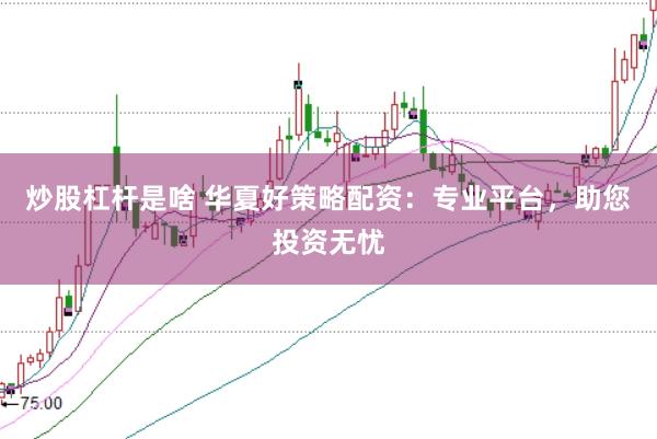 炒股杠杆是啥 华夏好策略配资：专业平台，助您投资无忧