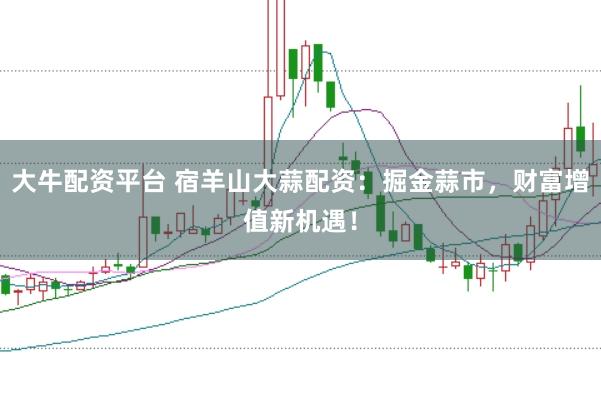 大牛配资平台 宿羊山大蒜配资：掘金蒜市，财富增值新机遇！