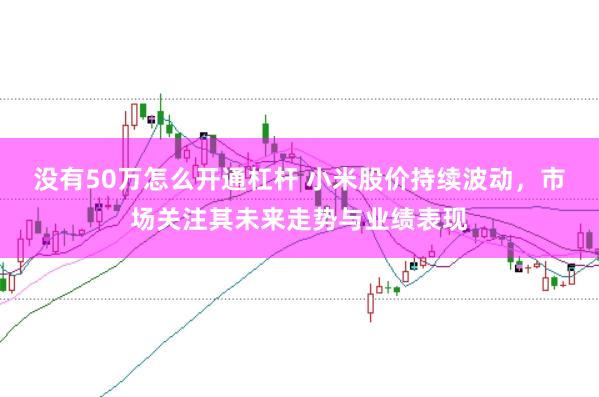 没有50万怎么开通杠杆 小米股价持续波动，市场关注其未来走势与业绩表现