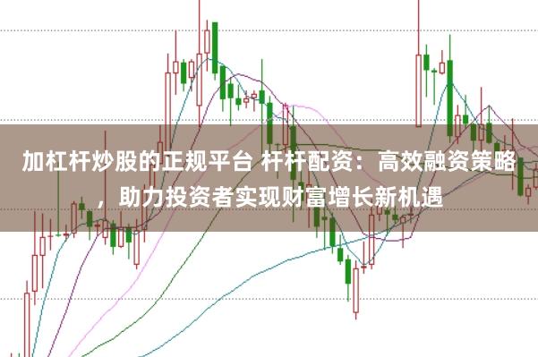 加杠杆炒股的正规平台 杆杆配资：高效融资策略，助力投资者实现财富增长新机遇
