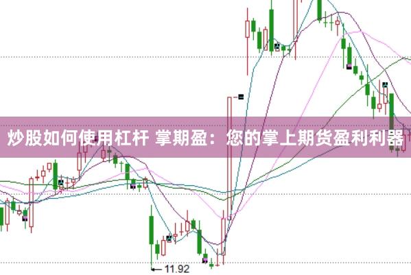 炒股如何使用杠杆 掌期盈：您的掌上期货盈利利器