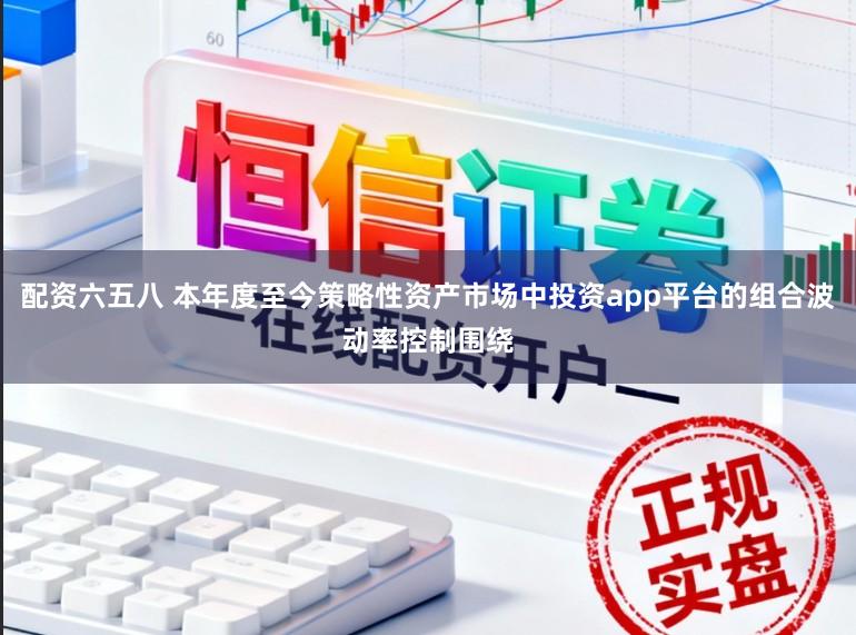 配资六五八 本年度至今策略性资产市场中投资app平台的组合波动率控制围绕