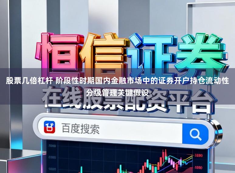股票几倍杠杆 阶段性时期国内金融市场中的证券开户持仓流动性分级管理关键假设