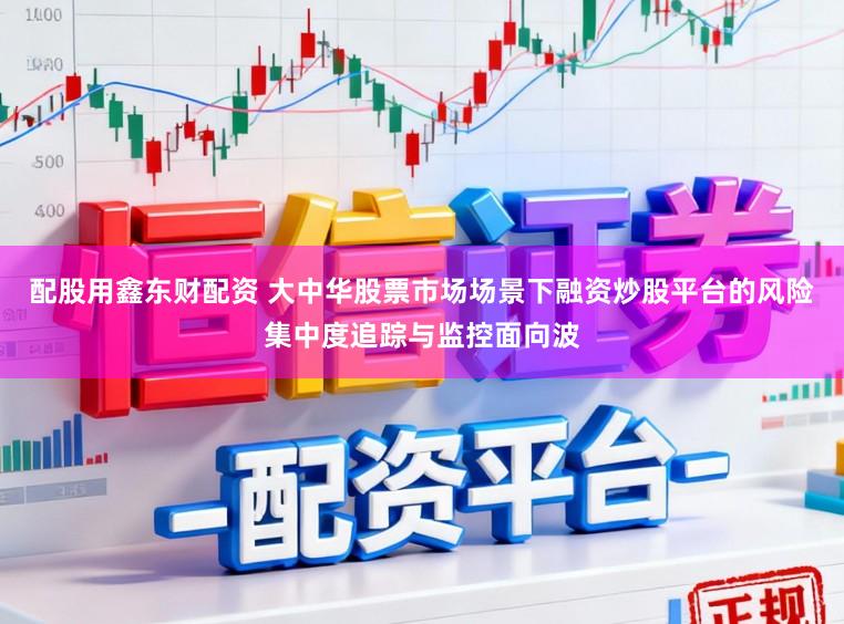 配股用鑫东财配资 大中华股票市场场景下融资炒股平台的风险集中度追踪与监控面向波