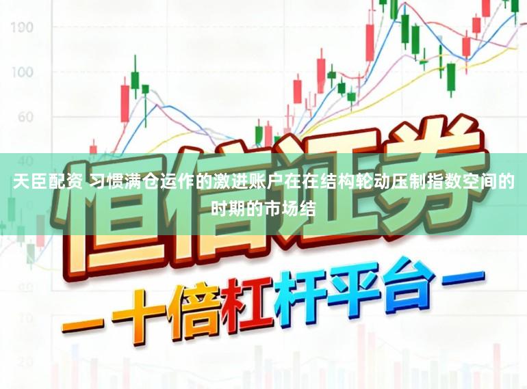 天臣配资 习惯满仓运作的激进账户在在结构轮动压制指数空间的时期的市场结